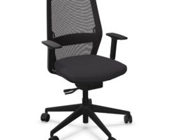 Fauteuil EVO